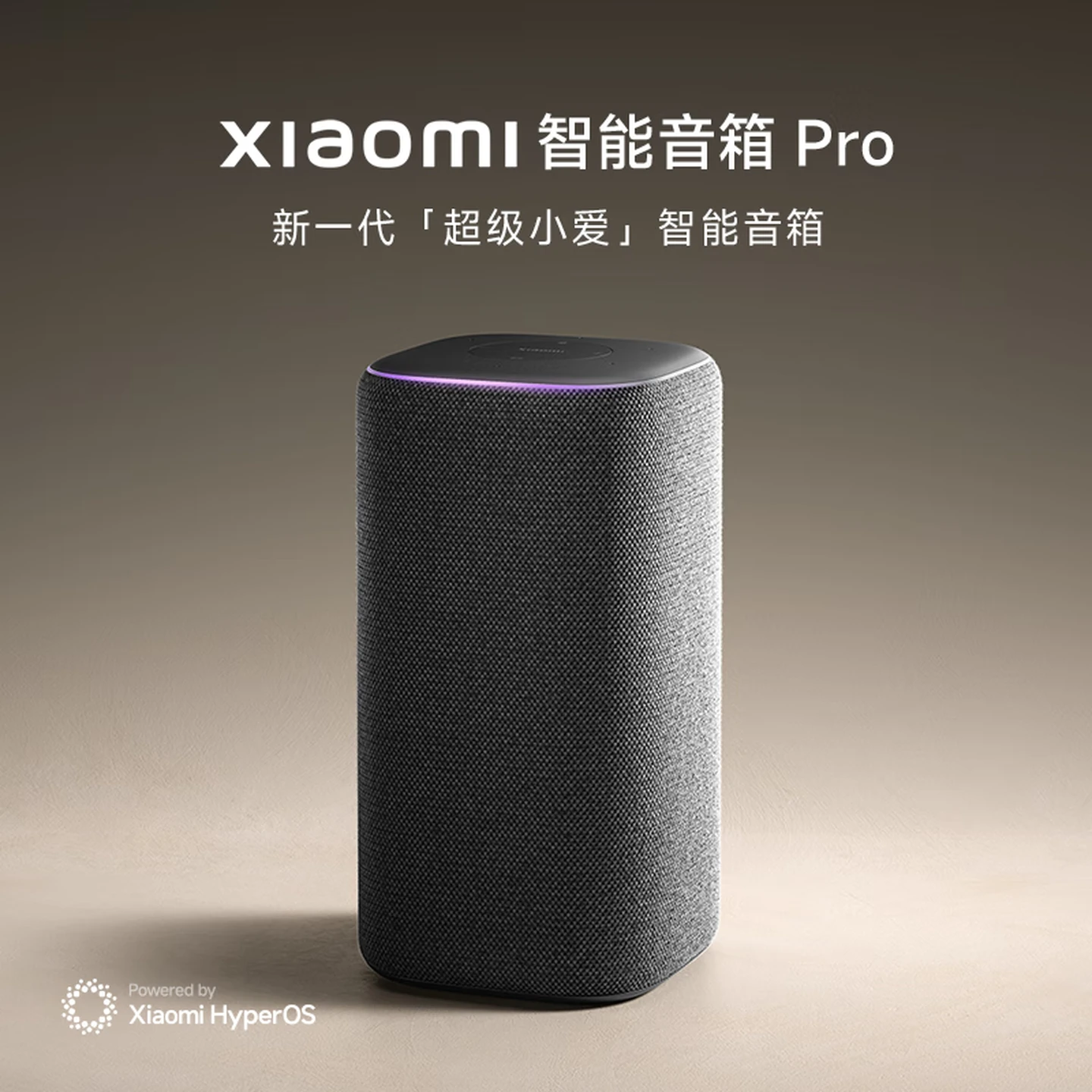 Xiaomi（MI）Smart Bluetooth SpeakerPro